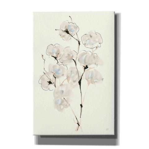 Image of 'Summer Cotton IV' by Chris Paschke, Giclee Canvas Wall Art