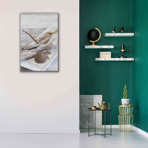 Image of 'Zen Style Driftwood Seashell Still' by Andrea Haase, Giclee Canvas Wall Art,26 x 40