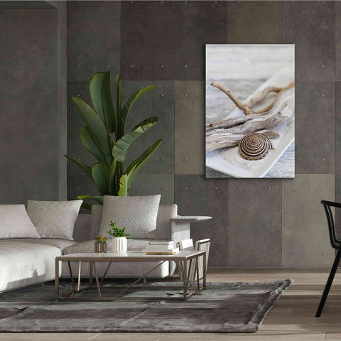 Image of 'Zen Style Driftwood Seashell Still' by Andrea Haase, Giclee Canvas Wall Art,40 x 60