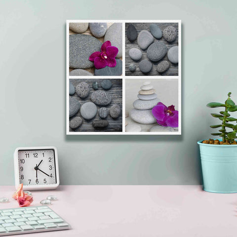 Image of 'Zen Orchid Collage' by Andrea Haase, Giclee Canvas Wall Art,12 x 12
