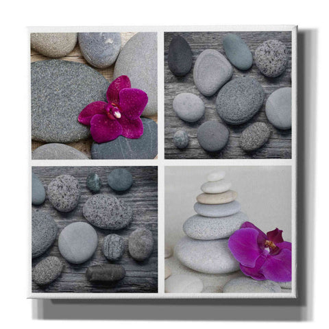 Image of 'Zen Orchid Collage' by Andrea Haase, Giclee Canvas Wall Art