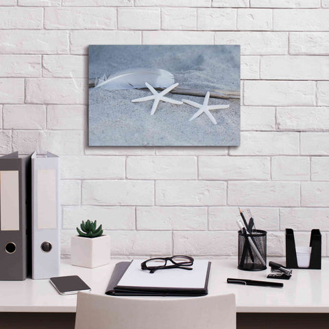 Image of 'Starfish Feather Beach Still' by Andrea Haase, Giclee Canvas Wall Art,18 x 12