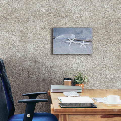 Image of 'Starfish Feather Beach Still' by Andrea Haase, Giclee Canvas Wall Art,18 x 12
