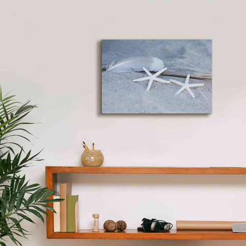 Image of 'Starfish Feather Beach Still' by Andrea Haase, Giclee Canvas Wall Art,18 x 12