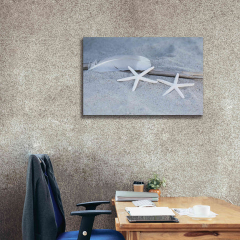 Image of 'Starfish Feather Beach Still' by Andrea Haase, Giclee Canvas Wall Art,40 x 26