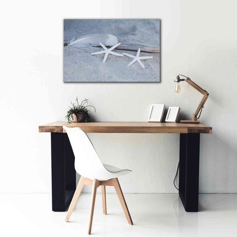 Image of 'Starfish Feather Beach Still' by Andrea Haase, Giclee Canvas Wall Art,40 x 26