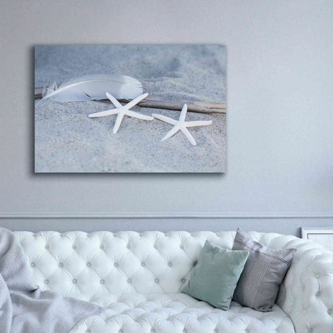 Image of 'Starfish Feather Beach Still' by Andrea Haase, Giclee Canvas Wall Art,60 x 40