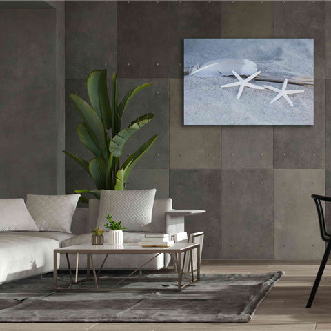 Image of 'Starfish Feather Beach Still' by Andrea Haase, Giclee Canvas Wall Art,60 x 40