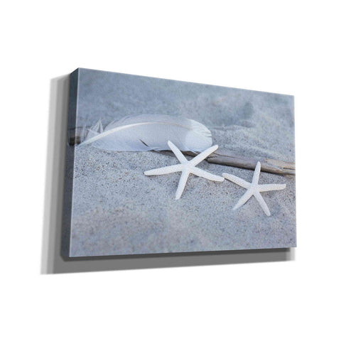 Image of 'Starfish Feather Beach Still' by Andrea Haase, Giclee Canvas Wall Art