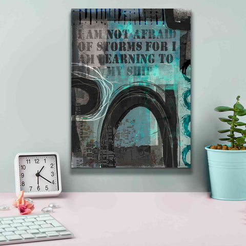 Image of 'Not Afraid Of Storms' by Andrea Haase, Giclee Canvas Wall Art,12 x 16