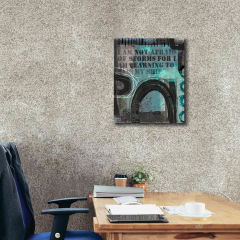 Image of 'Not Afraid Of Storms' by Andrea Haase, Giclee Canvas Wall Art,20 x 24