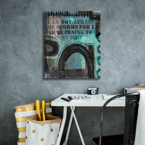 Image of 'Not Afraid Of Storms' by Andrea Haase, Giclee Canvas Wall Art,20 x 24