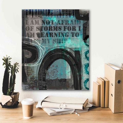 Image of 'Not Afraid Of Storms' by Andrea Haase, Giclee Canvas Wall Art,20 x 24