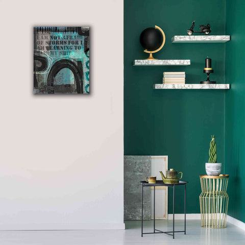 Image of 'Not Afraid Of Storms' by Andrea Haase, Giclee Canvas Wall Art,20 x 24