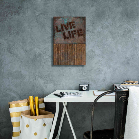 Image of 'Live Life' by Andrea Haase, Giclee Canvas Wall Art,12 x 18