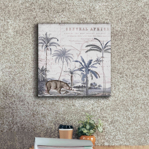 Image of 'Hippo Adventure' by Andrea Haase Giclee Canvas Wall Art,18 x 18