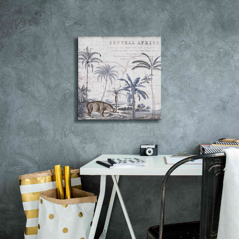 Image of 'Hippo Adventure' by Andrea Haase Giclee Canvas Wall Art,18 x 18