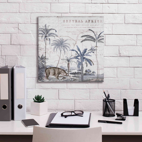 Image of 'Hippo Adventure' by Andrea Haase Giclee Canvas Wall Art,18 x 18