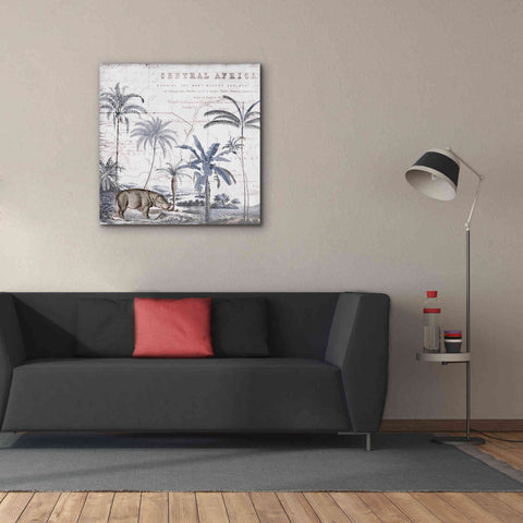 Image of 'Hippo Adventure' by Andrea Haase Giclee Canvas Wall Art,37 x 37