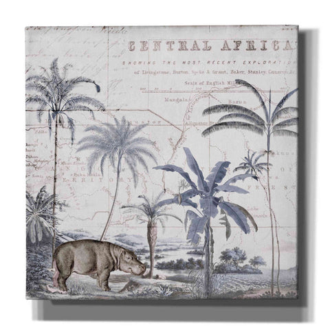 Image of 'Hippo Adventure' by Andrea Haase Giclee Canvas Wall Art