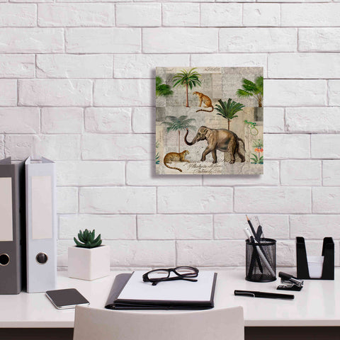 Image of 'The Magic Of Africa' by Andrea Haase Giclee Canvas Wall Art,12 x 12