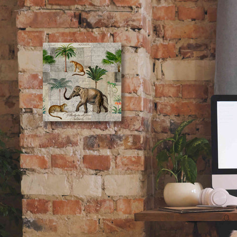 Image of 'The Magic Of Africa' by Andrea Haase Giclee Canvas Wall Art,12 x 12