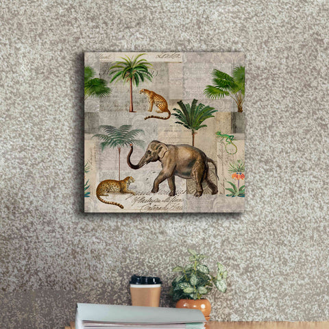 Image of 'The Magic Of Africa' by Andrea Haase Giclee Canvas Wall Art,18 x 18