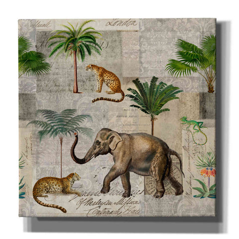 Image of 'The Magic Of Africa' by Andrea Haase Giclee Canvas Wall Art