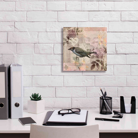 Image of 'Nostalgic Bird Collage' by Andrea Haase Giclee Canvas Wall Art,12 x 12