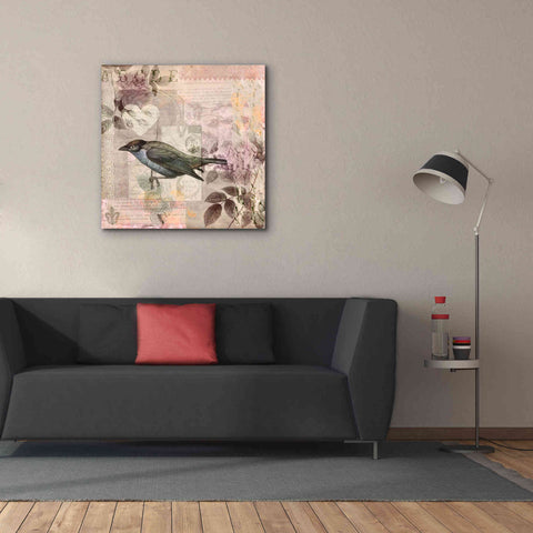 Image of 'Nostalgic Bird Collage' by Andrea Haase Giclee Canvas Wall Art,37 x 37