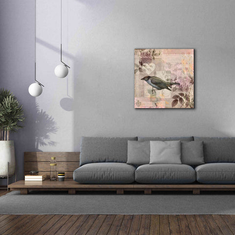 Image of 'Nostalgic Bird Collage' by Andrea Haase Giclee Canvas Wall Art,37 x 37
