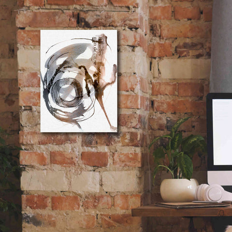 Image of 'Story Of Hope Brown' by Andrea Haase Giclee Canvas Wall Art,12 x 16