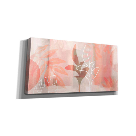 Image of 'Plantas Bonitas' by Andrea Haase Giclee Canvas Wall Art