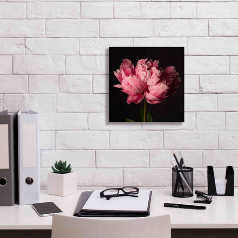 Image of 'Perfect Peony' by Leah McLean Giclee Canvas Wall Art,12 x 12