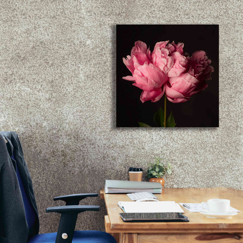 Image of 'Perfect Peony' by Leah McLean Giclee Canvas Wall Art,26 x 26