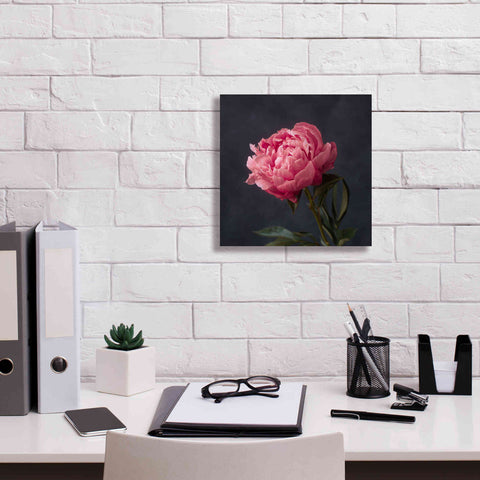 Image of 'Perfectly Pink' by Leah McLean Giclee Canvas Wall Art,12 x 12