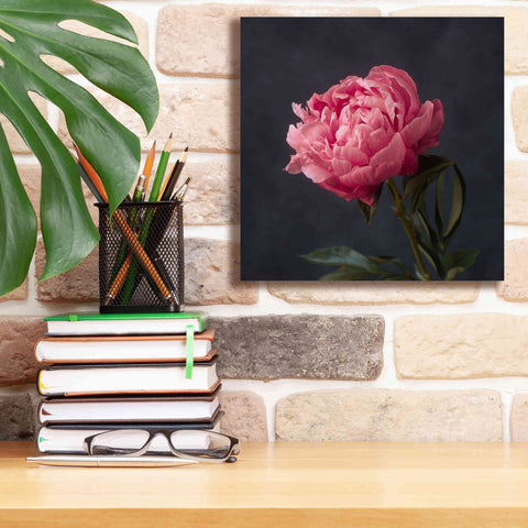 Image of 'Perfectly Pink' by Leah McLean Giclee Canvas Wall Art,12 x 12