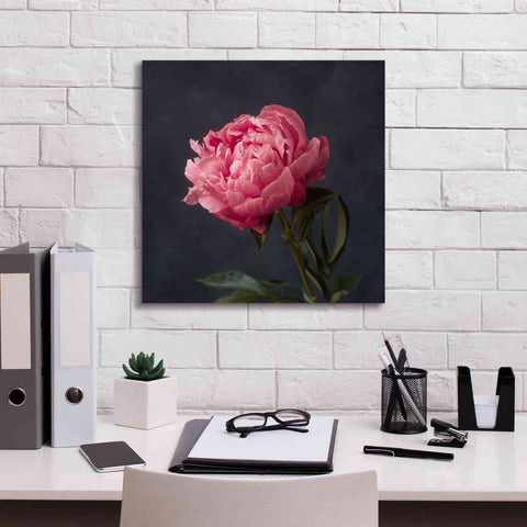 Image of 'Perfectly Pink' by Leah McLean Giclee Canvas Wall Art,18 x 18