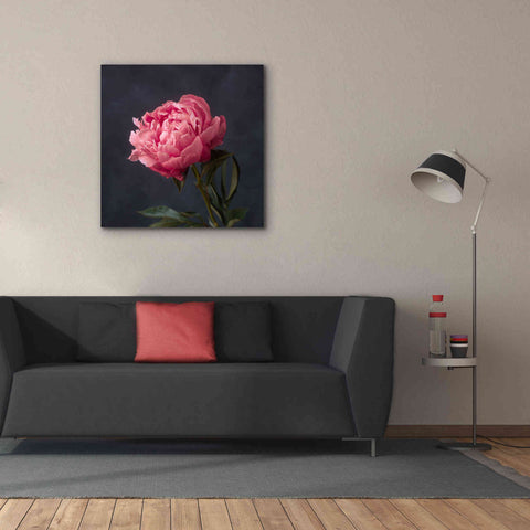 Image of 'Perfectly Pink' by Leah McLean Giclee Canvas Wall Art,37 x 37