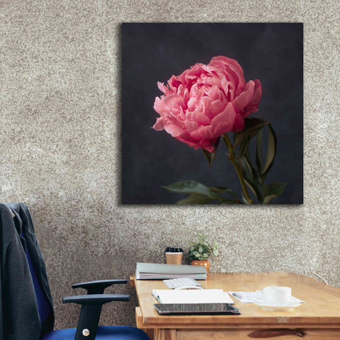 Image of 'Perfectly Pink' by Leah McLean Giclee Canvas Wall Art,37 x 37