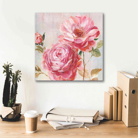 Image of 'Petal Paint 2' by Karen Smith Giclee Canvas Wall Art,18x18