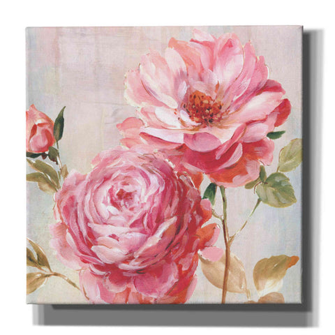 Image of 'Petal Paint 2' by Karen Smith Giclee Canvas Wall Art