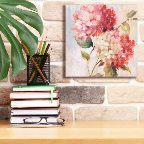 Image of 'Petal Paint 1' by Karen Smith Giclee Canvas Wall Art,12x12