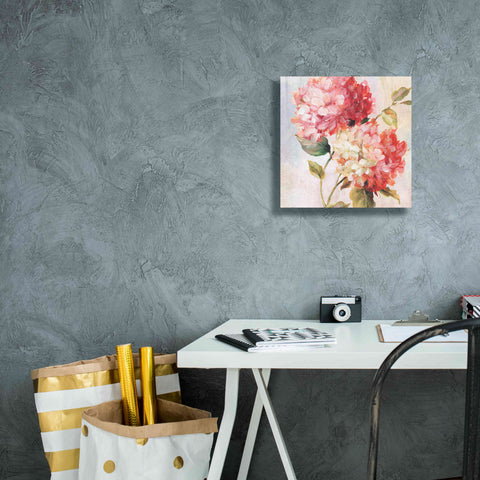 Image of 'Petal Paint 1' by Karen Smith Giclee Canvas Wall Art,12x12