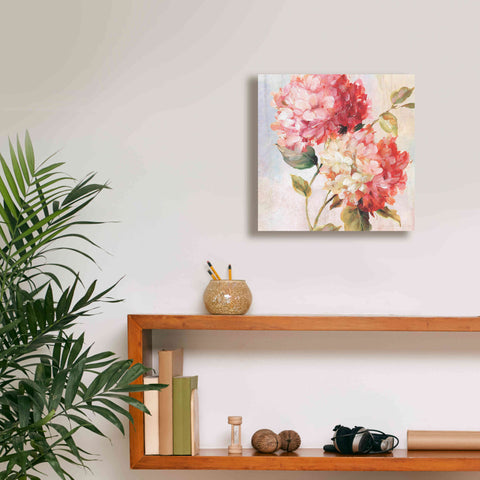 Image of 'Petal Paint 1' by Karen Smith Giclee Canvas Wall Art,12x12