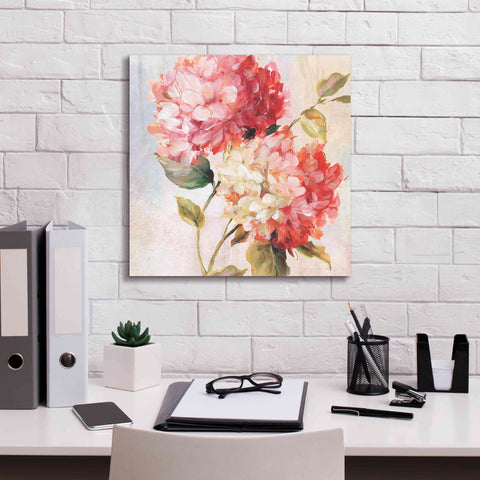 Image of 'Petal Paint 1' by Karen Smith Giclee Canvas Wall Art,18x18