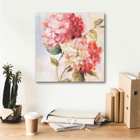 Image of 'Petal Paint 1' by Karen Smith Giclee Canvas Wall Art,18x18