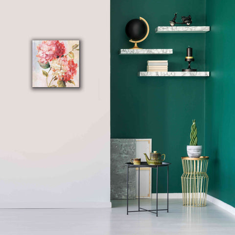 Image of 'Petal Paint 1' by Karen Smith Giclee Canvas Wall Art,18x18