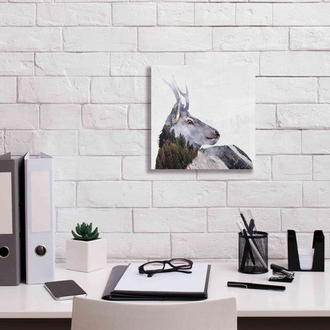 Image of 'Alpine Stag' by Karen Smith Giclee Canvas Wall Art,12x12