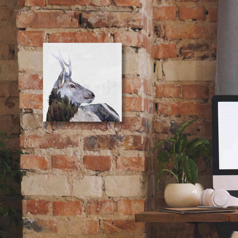 Image of 'Alpine Stag' by Karen Smith Giclee Canvas Wall Art,12x12